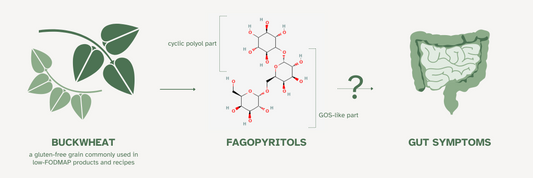 Fagopyritols and the sensitive gut